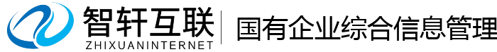 国有企业综合信息管理系统