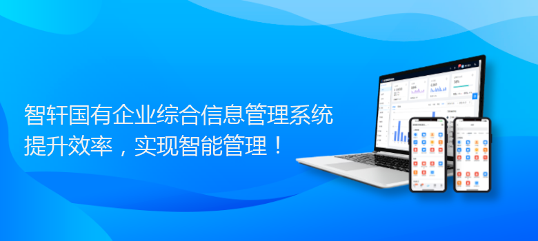 国有企业综合信息管理系统